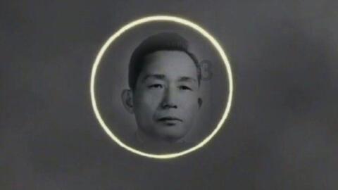 小孩子缺维生素d3怎么办?食补可以吗?-专业问答平台